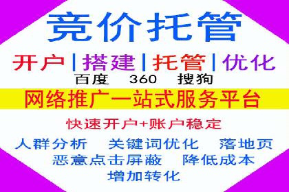 SEM代运营服务公司案例分析：数据驱动营销策略